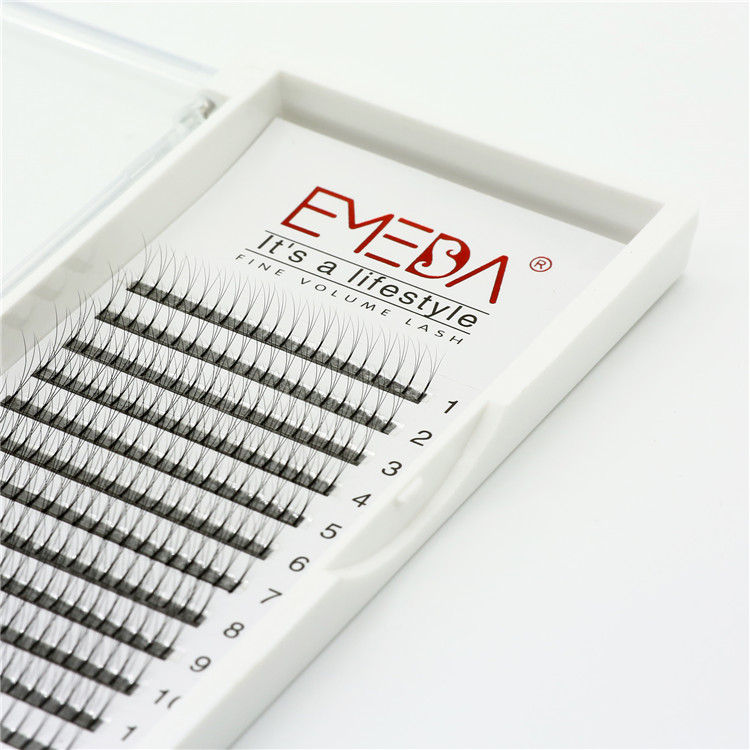 Premium Quality 4D Eyelash Extensions Sydney EL58-PY1